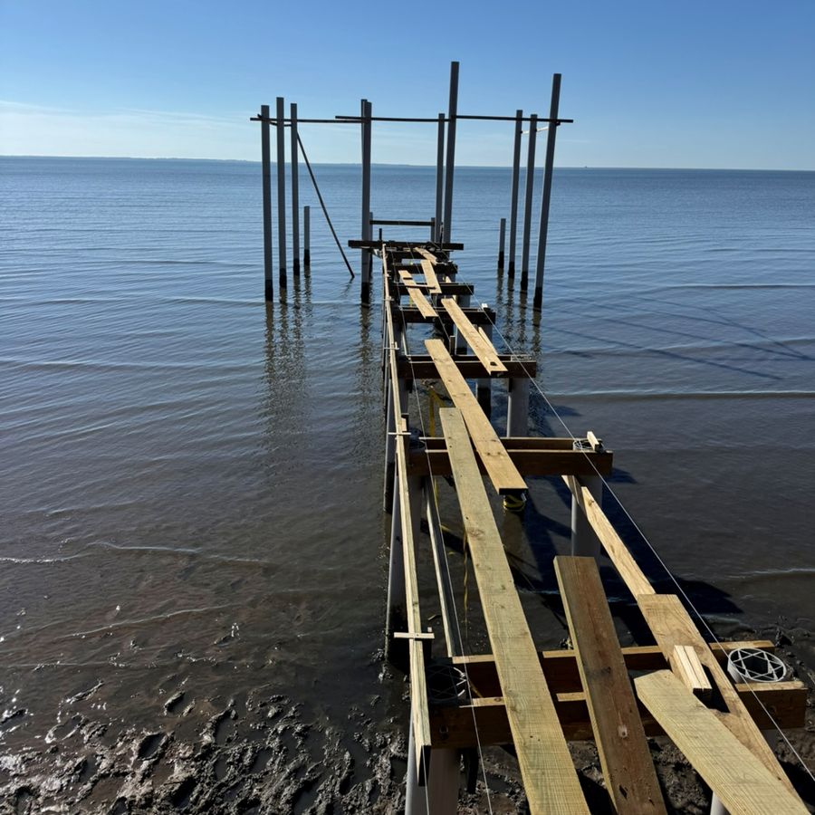 Pilings and framing: Pilings set for the walkway and platform, framing underway.