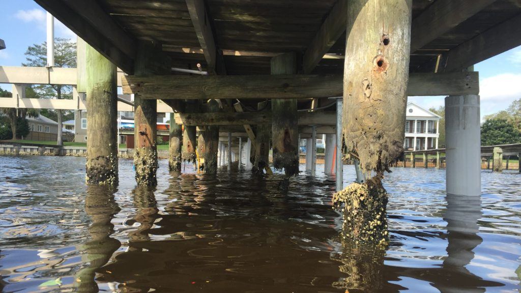 Pilings eaten away at the waterline before repair